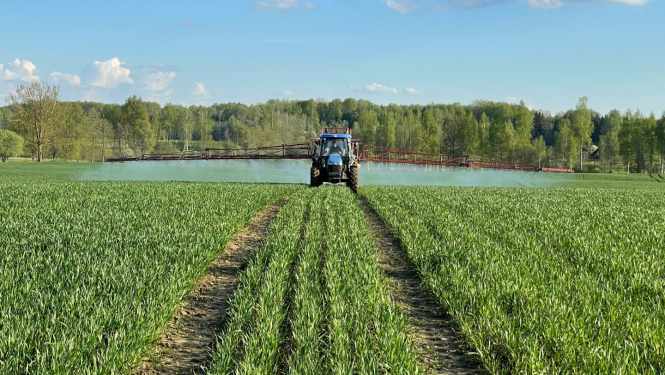 Traktors ar pieāķētu augu aizsardzības līdzekļu lietošanas iekārtu smidzina barības vielas zaļam labības laukam