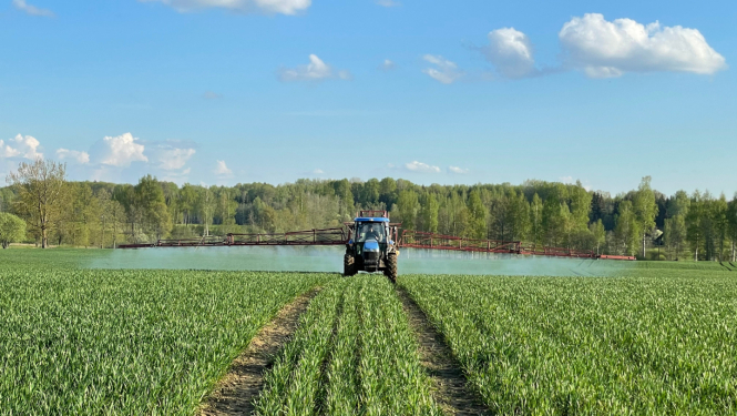 Traktors ar pieāķētu augu aizsardzības līdzekļu lietošanas iekārtu smidzina barības vielas zaļam labības laukam