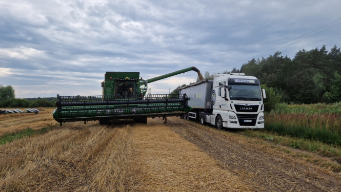 Zaļš kombains stāv lauka malā un ber nokultos graudus smagās mašīnas piekabē