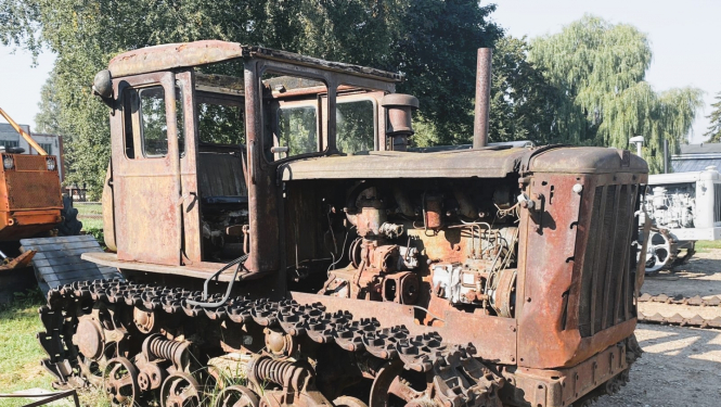 Vecs, sarūsējis kāpurķēdnieks