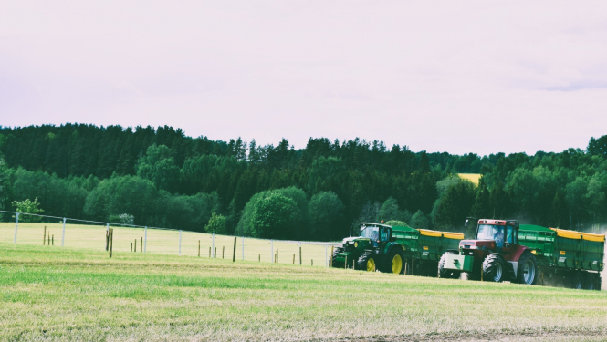 Divi krāsaini traktori brauc paralēli pret kalnu. Fonā meža ainava
