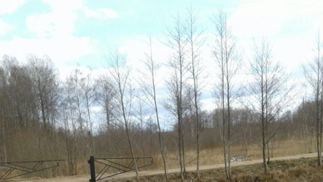 Apgāzies un no ceļa nobraucis pelēks traktors