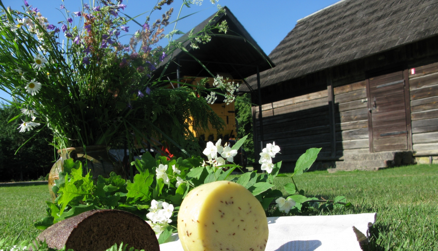 Līgo siers un jāņuzāles muzejā “Pikšas”