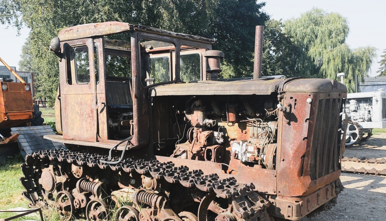 Vecs, sarūsējis kāpurķēdnieks