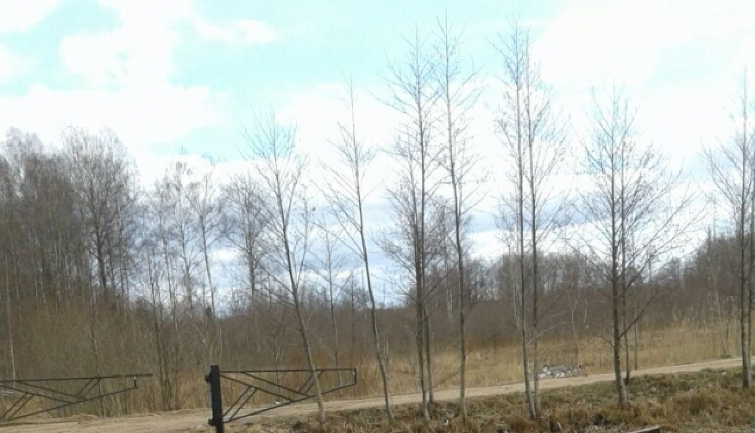 Apgāzies un no ceļa nobraucis pelēks traktors